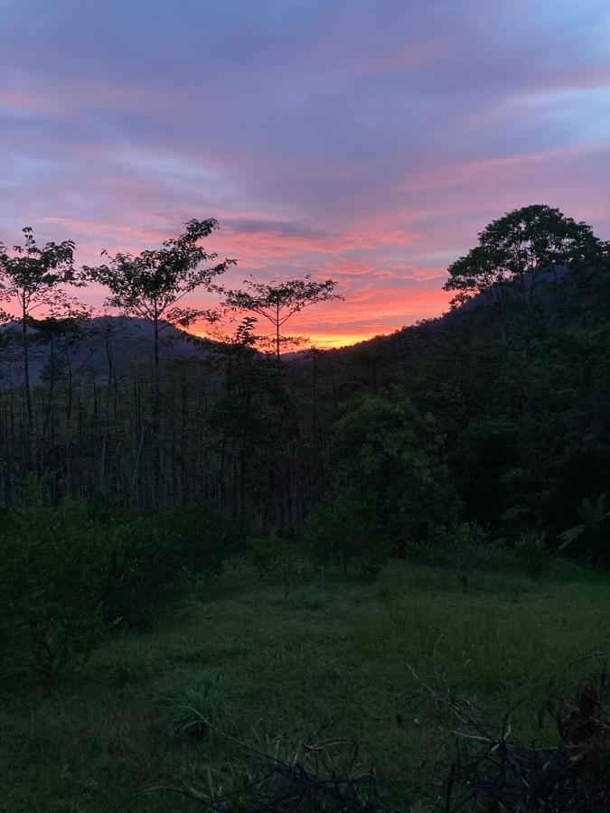 Khao Sok Hill Top Resort Khao Sok National Park 외부 사진