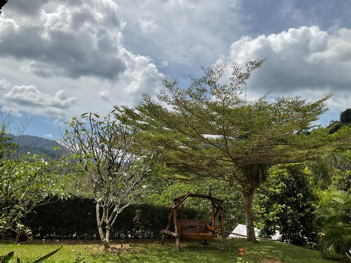 Khao Sok Hill Top Resort Khao Sok National Park 외부 사진