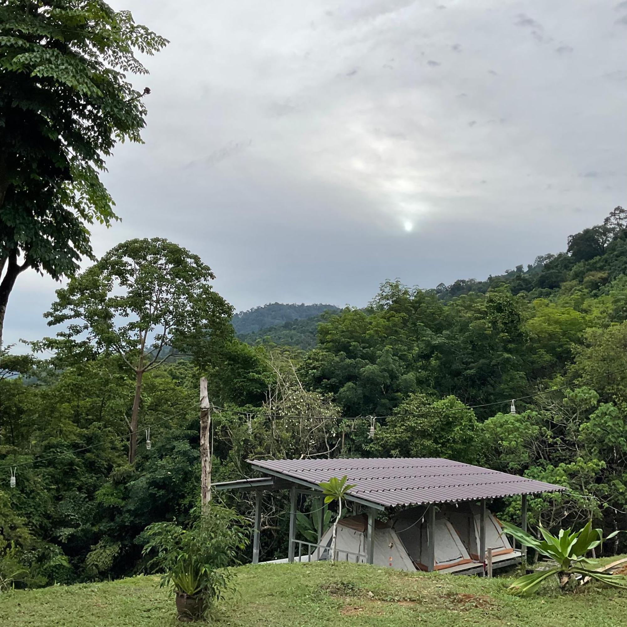 Khao Sok Hill Top Resort Khao Sok National Park 외부 사진