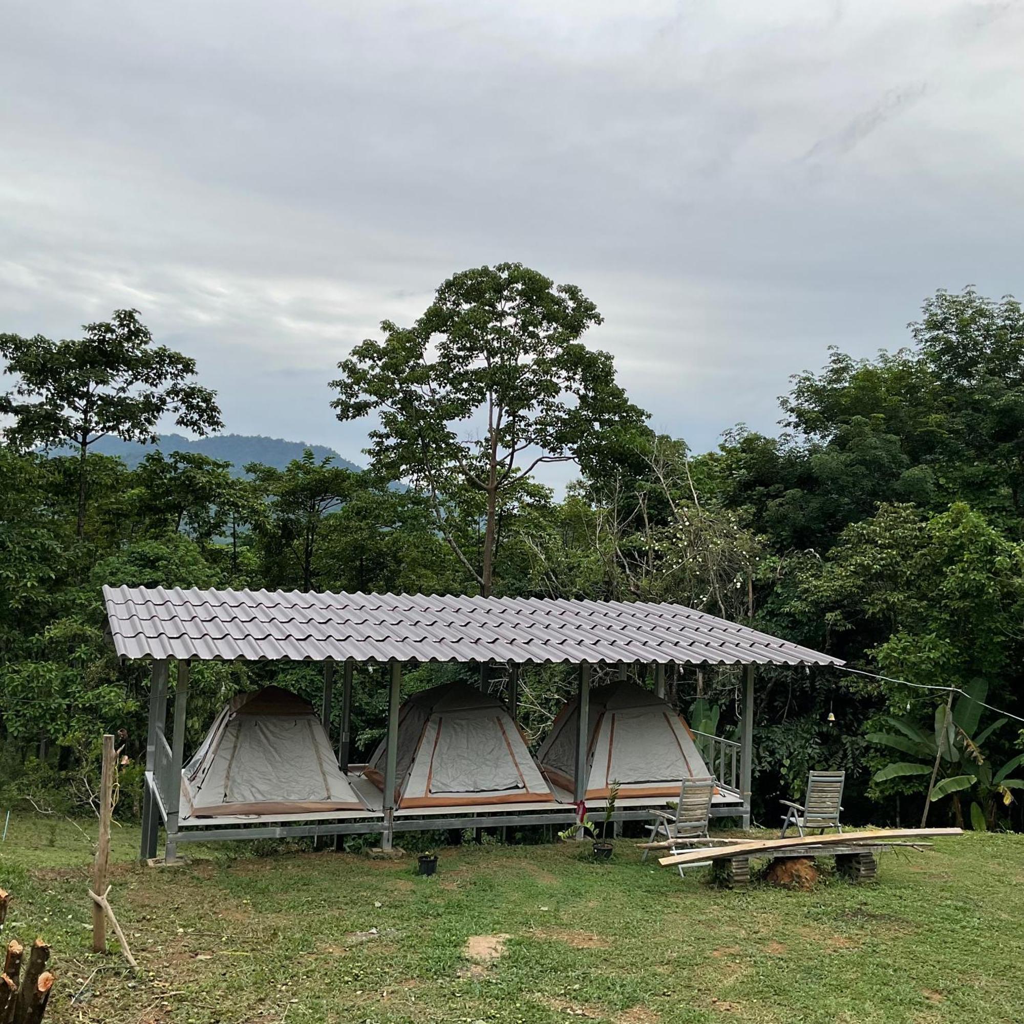 Khao Sok Hill Top Resort Khao Sok National Park 외부 사진