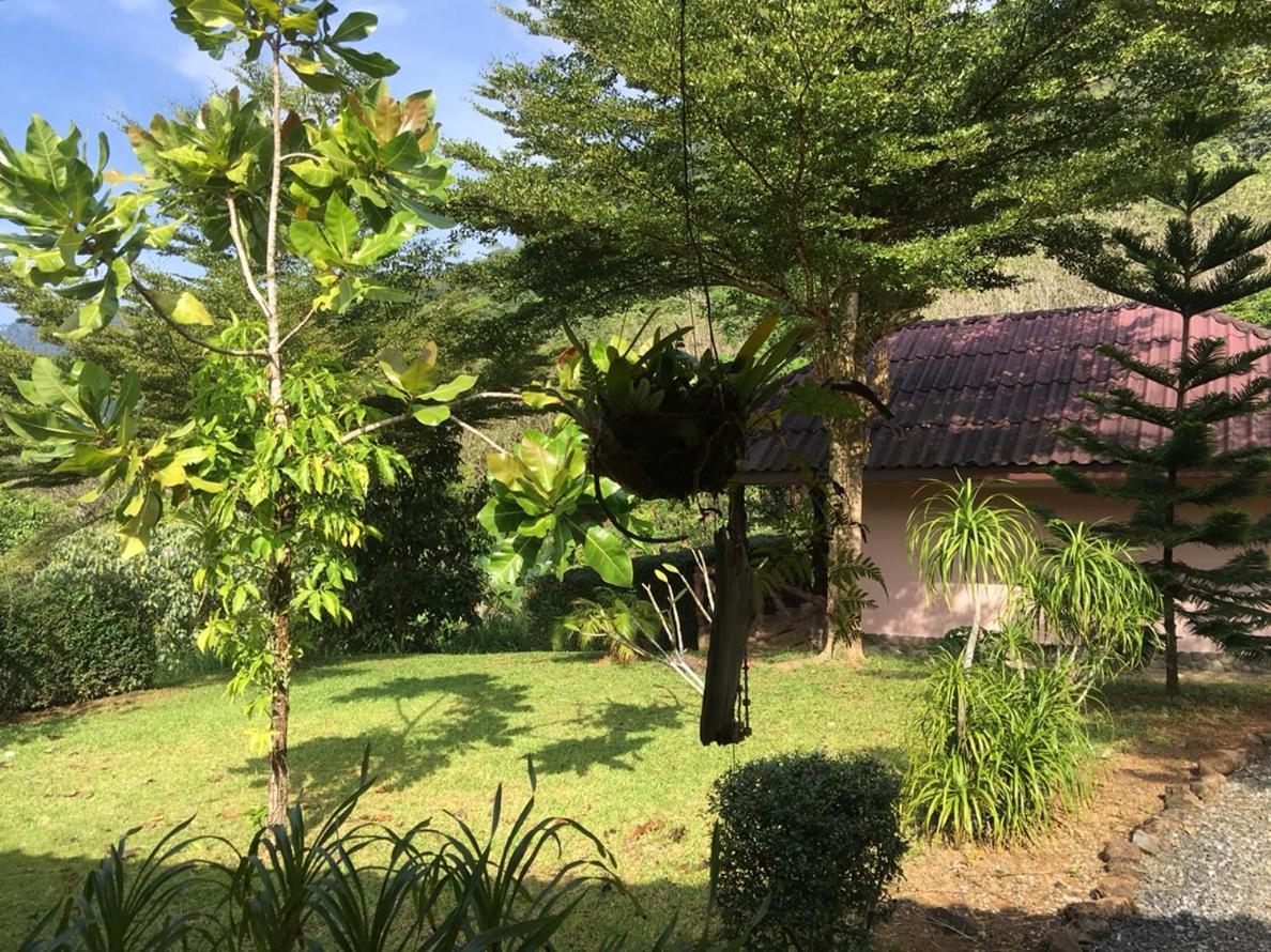 Khao Sok Hill Top Resort Khao Sok National Park 외부 사진