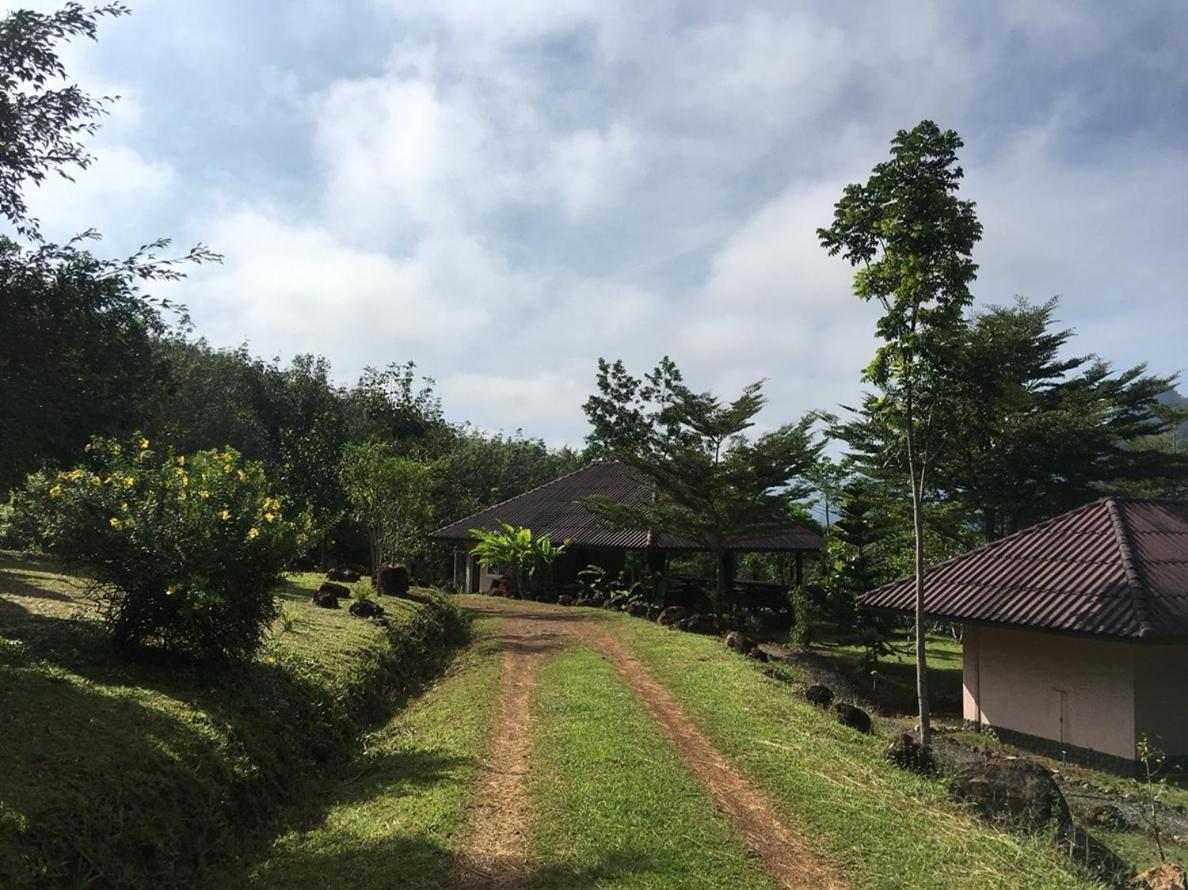 Khao Sok Hill Top Resort Khao Sok National Park 외부 사진