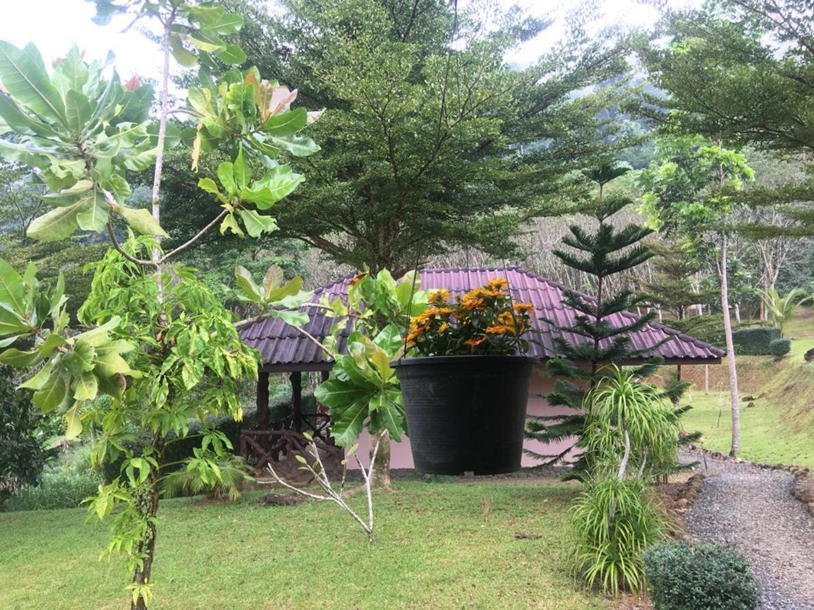 Khao Sok Hill Top Resort Khao Sok National Park 외부 사진