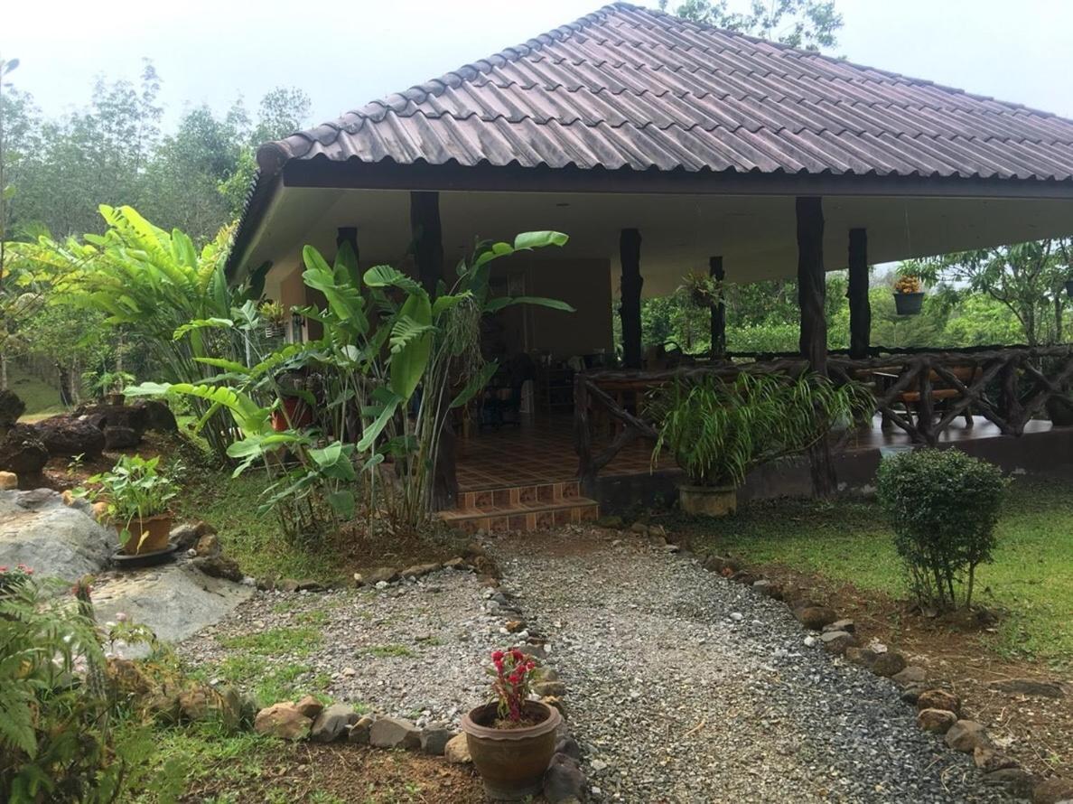 Khao Sok Hill Top Resort Khao Sok National Park 외부 사진